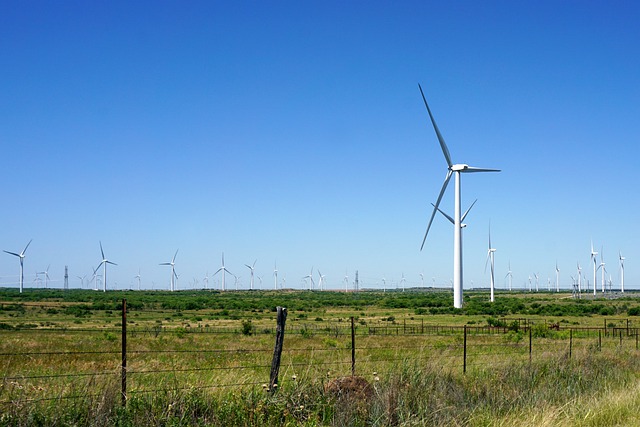 Best Electricity Rates In Plano